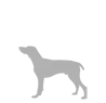 Imagen de perro tamaño M