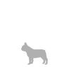 Imagen de perro tamaño S