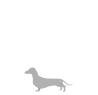 Imagen de perro tamaño XS